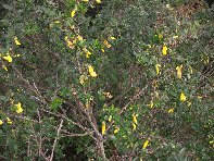 nte Ilice-20110120 042